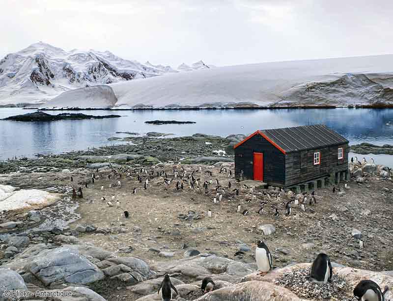 croisiere-antarctique-emblematique-ponant
